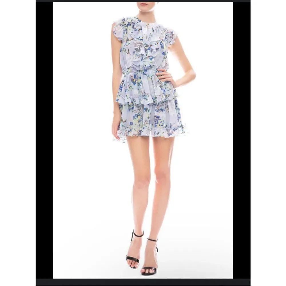 Misa Los Angeles Alona periwinkle floral light blue mini dress S